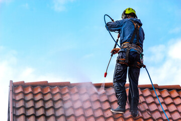 What Is Roof Cleaning and Why Is It Necessary?